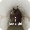 lol 14