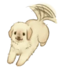 Golden Retriever Puppy 1-3 17