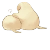 Golden Retriever Puppy 1-3 18
