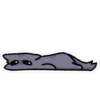 silly kittens 17