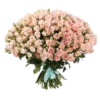 Flowers >> 14
