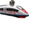 Mavka Hamster 20