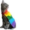 Kisunya_the_cat_Queen 18