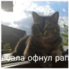 КрYтве стикеры 16