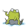 Mr Frog 8