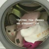 Suicide cats 18