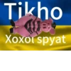 хYита 16