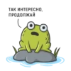 Mr Frog 10