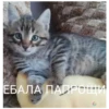 КрYтве стикеры 18