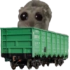 Mavka Hamster 24