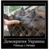 Russia world 🇷🇺☦️ 23
