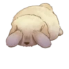 Golden Retriever Puppy 1-3 26