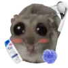 Mavka Hamster 27