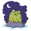 Mr Frog 12