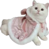 Kisunya_the_cat_Queen 25
