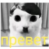 КрYтве стикеры 26