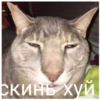 КрYтве стикеры 28