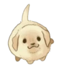 Golden Retriever Puppy 1-3 30