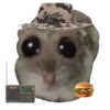 Mavka Hamster 29