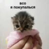 хYита 26