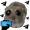 Mavka Hamster 30