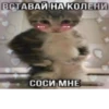 хYита 27