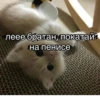 хYита 28