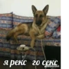 хYита 29