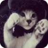 MAgtLcT_by_achestickbot 7