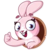 Rosy Bunny 6