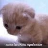Китики by 9