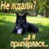 Создать стикеры| 6