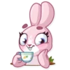 Rosy Bunny 8