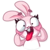 Rosy Bunny 9