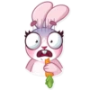 Rosy Bunny 11