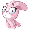 Rosy Bunny 13