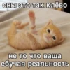 Китики by 11