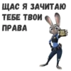 JudyHops 7