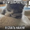 Китики by 12