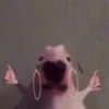 Стикеры тYт: 6