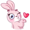 Rosy Bunny 19