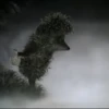 Mystery 10