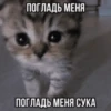Китики by 15