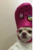 Meme meme 9