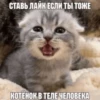 Китики by 16