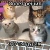 Китики by 17