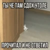 Китики by 18