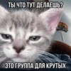 Китики by 19