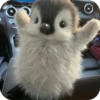 MAgtLcT_by_achestickbot 18