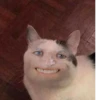 Meme meme 14
